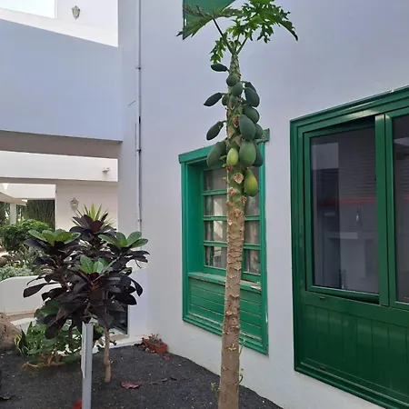 דירה Azul Tuscan Playa Y Piscina קוסטה טגוויסה