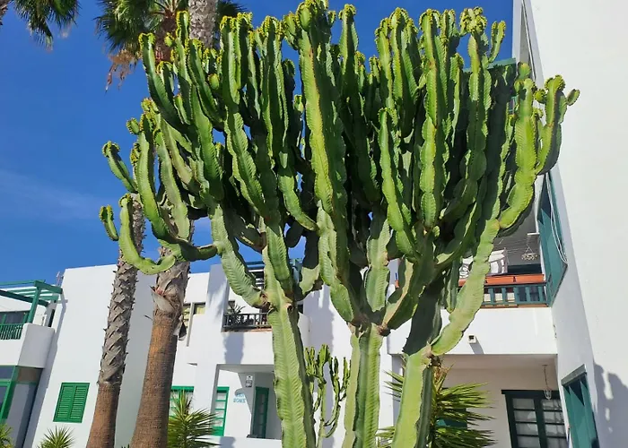Azul Tuscan Playa Y Piscina Apartment